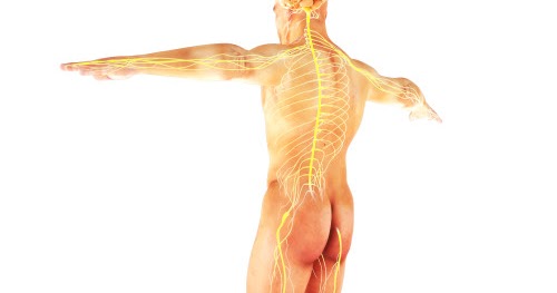 Los sanatorios que especializan sobre el tratamiento de la osteocondrosis